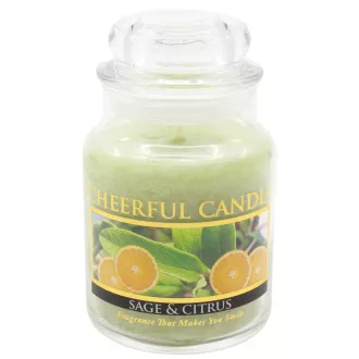 Cheerful Candle SAGE & CITRUS (Šalvia a Citrusy) 160 g