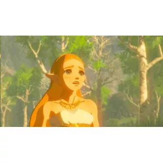 SWITCH Legend of Zelda: Breath of the Wild