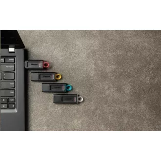 Kingston 256GB USB3.2 Gen1 DataTraveler Exodia (Black + Pink)