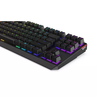 SPC Gear klávesnica GK630K Tournament / mechanická / Kailh Blue / RGB podsvietenie / kompaktný / US layout / USB