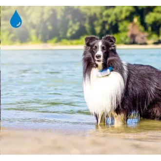 Tractive GPS DOG 4 - GPS sledovanie polohy a aktivity pre psov Tractive GPS DOG 4 - GPS sledovanie polohy a aktivity pre psov