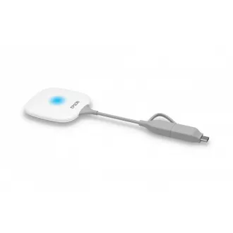 EPSON ELPWP20 - Wireless Presentation System