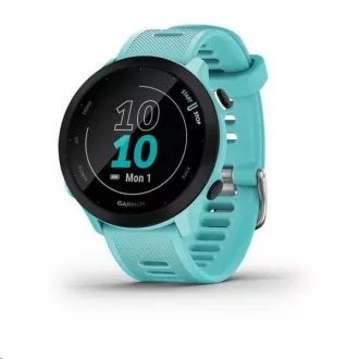Garmin GPS športové hodinky Forerunner 55 Blue