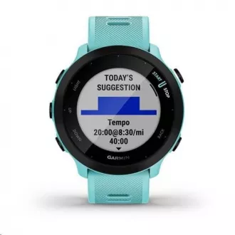 Garmin GPS športové hodinky Forerunner 55 Blue