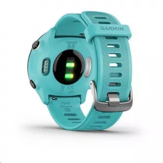 Garmin GPS športové hodinky Forerunner 55 Blue