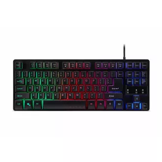 ACER klávesnica Nitro (NKW120), 3 zónové LED podsvietenie, USB Standard, US ACER klávesnica Nitro (NKW120), 3 zónové LED podsvietenie, USB Standard, US