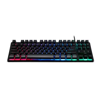 ACER klávesnica Nitro (NKW120), 3 zónové LED podsvietenie, USB Standard, US ACER klávesnica Nitro (NKW120), 3 zónové LED podsvietenie, USB Standard, US