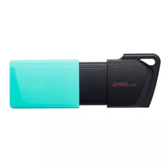 Kingston 256GB USB3.2 Gen 1 DataTraveler Exodia M (Black + Teal)