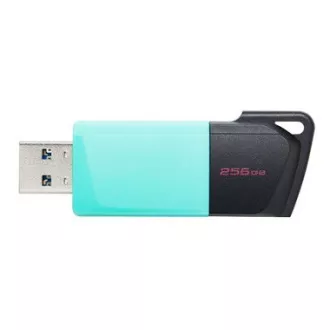 Kingston 256GB USB3.2 Gen 1 DataTraveler Exodia M (Black + Teal)