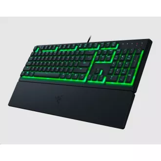 RAZER klávesnica Ornata V3 X, US Layout