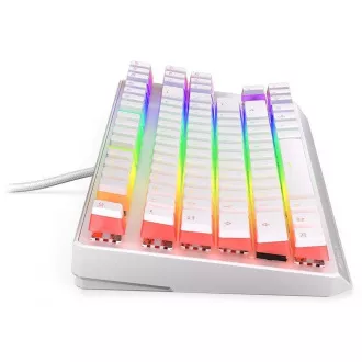 Endorfy herná klávesnica Thock TKL OWH Pudd.Khail BR RGB /USB/ brown sw./ drôtová / mechanická / US layout / biela RGB