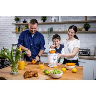 Lauben Electric Citrus Juicer 110WT - odšťavovač