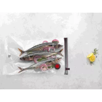 ZWILLING plastové, vákuové vrecká na potraviny, 49 x 30 cm, veľkosť L, 3 kusy - Fresh & Save