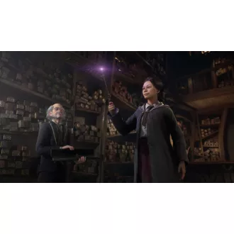 PS4 hra Hogwarts Legacy