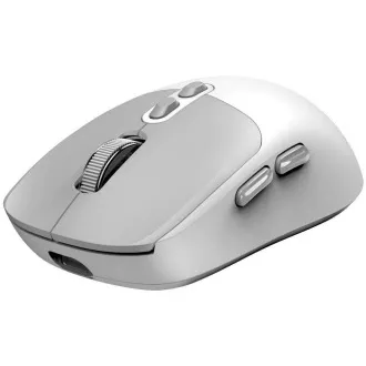GENIUS myš NX-8080S BT/ duálny Bluetooth + 2, 4GHz/ 1600 dpi/ Copilot/ bezdrôtová/ tichá/ bielošedá