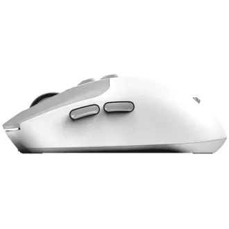 GENIUS myš NX-8080S BT/ duálny Bluetooth + 2, 4GHz/ 1600 dpi/ Copilot/ bezdrôtová/ tichá/ bielošedá