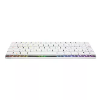 ASUS klávesnica ROG FALCHION RX Low profile (ROG NX Snow), US