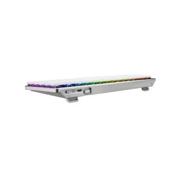 ASUS klávesnica ROG FALCHION RX Low profile (ROG NX Snow), US