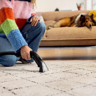 Kärcher SE 3 Compact Home tepovač