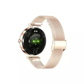 CARNEO Seinna HR+ rosegold CARNEO Seinna HR+ rosegold