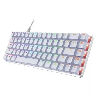 ASUS klávesnica ROG FALCHION ACE Moonlight White, mechanická, USB, US, biela