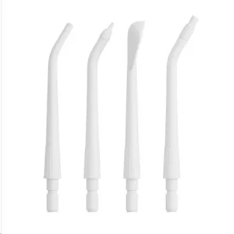 Teslá Flosser FS200 Spare Heads White