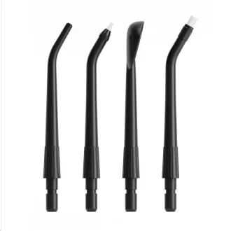 Teslá Flosser FS200 Spare Heads Black