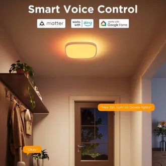 Govee RGBICWW Smart štvorhranné stropné svetlo 2400lm 30cm Matter
