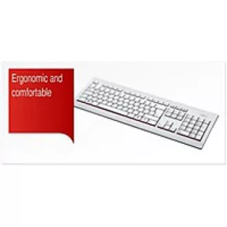 FUJITSU Klávesnica KB521 USB CZ/SK/US + 12 multimedia keys - postriekaniu odolná - marble grey - biela