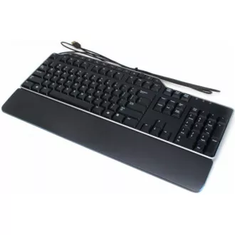 Keyboard DELL : US/Euro (QWERTY) KB-522 Wired Business Multimedia USB Keyboard Black (Kit)
