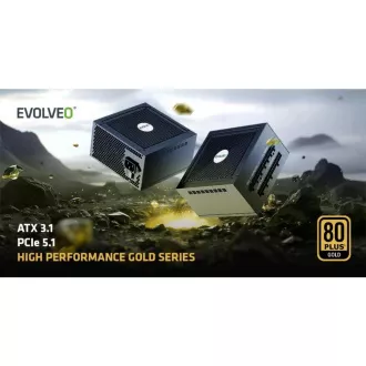EVOLVEO G650 zdroj 650W, 80+ GOLD, ATX 3.1, aPFC, 140 mm ventilátor EVOLVEO G650 zdroj 650W, 80+ GOLD, ATX 3.1, aPFC, 140 mm ventilátor