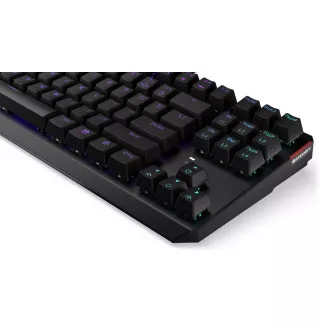 Endorfy herná klávesnica Thock TKL Brown / drôtová / USB / brown switch / mechanická / CZ layout / čierna RGB