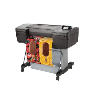HP Designjet Z6 24 "PostScript Printer