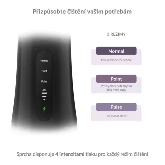 TrueLife AquaFloss Compact L100 Black - ústna sprcha