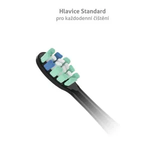 TrueLife SonicBrush Clean-series heads Standard black 8 pack