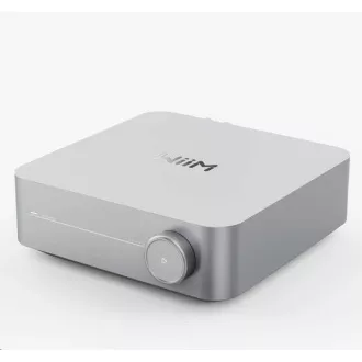 WiiM Amp Silver
