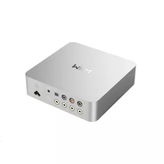 WiiM Vibelink Amp - Silver