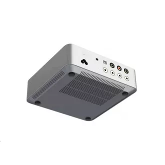 WiiM Vibelink Amp - Silver