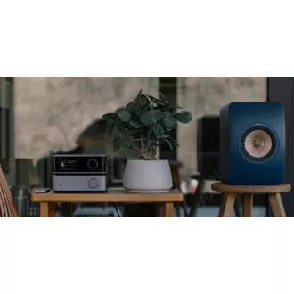 WiiM Vibelink Amp - Silver