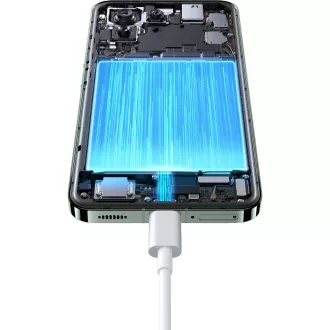 Xiaomi 13 8/256GB Flora Green XIAOMI Xiaomi 13 8/256GB Flora Green XIAOMI