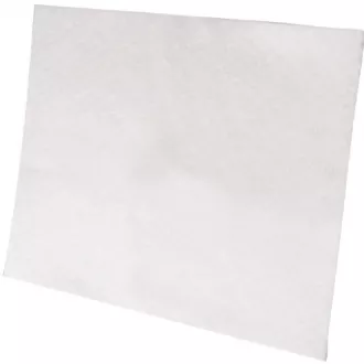 EF1 MOTOROVÝ FILTER(900034312) ELECTROLUX EF1 MOTOROVÝ FILTER(900034312) ELECTROLUX