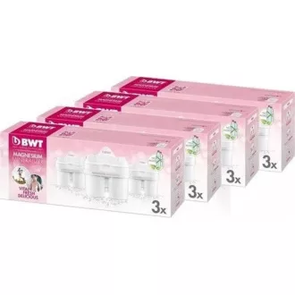 NÁHRADNÉ FILTRE ZINOK + HORČÍK 3KS BWT NÁHRADNÉ FILTRE ZINOK + HORČÍK 3KS BWT