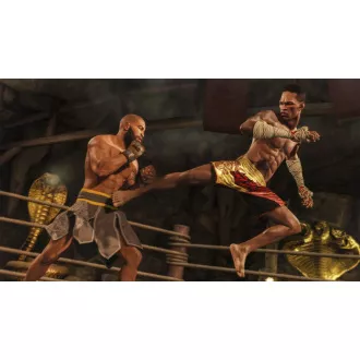 EA Sports UFC 4 hra PS4 EA EA Sports UFC 4 hra PS4 EA