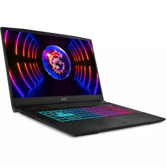 Katana 17 B12UDXK-886SK 16/512G W11H MSI