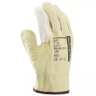 Zimné rukavice ARDONSAFETY/HILTON WINTER 09/L | A2002/09