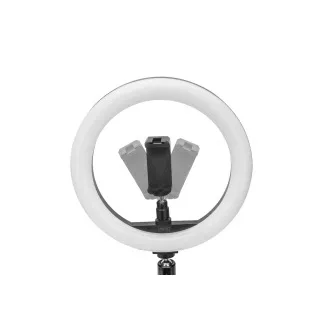 DIGITUS 10palcové LED kruhové svetlo stolné so statívovým stojanom a držiakom na chytrý telefón, stmievateľné svetlo