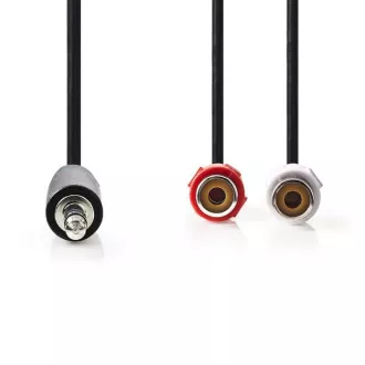 Nedis CAGB22250BK02 - Stereofónny Audio Kábel | 3,5mm Zástrčka - 2x RCA Zásuvka | 0,2 m | Čierna farba