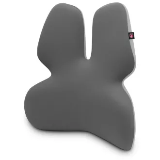 CONNECT IT FOR HEALTH GamaPro Anatomická bedrová opierka na stoličku, ŠEDÁ