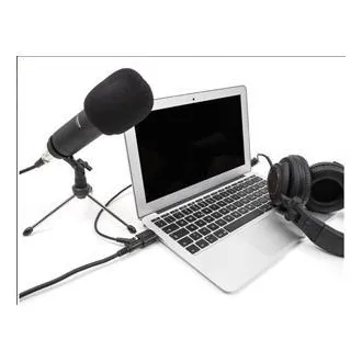 Delock Externá zvuková karta USB 24 bitov / 96 kHz Plug & Play pre Windows, MAC, Linux, Chrome OS