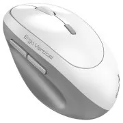 Genius Ergo 8350S, Myš, bezdrôtová, optická, vertikálna, 2400DPI, 6 tlačidiel, tichá, Copilot,2,4GHz,Bluetooth 5.3, biela
